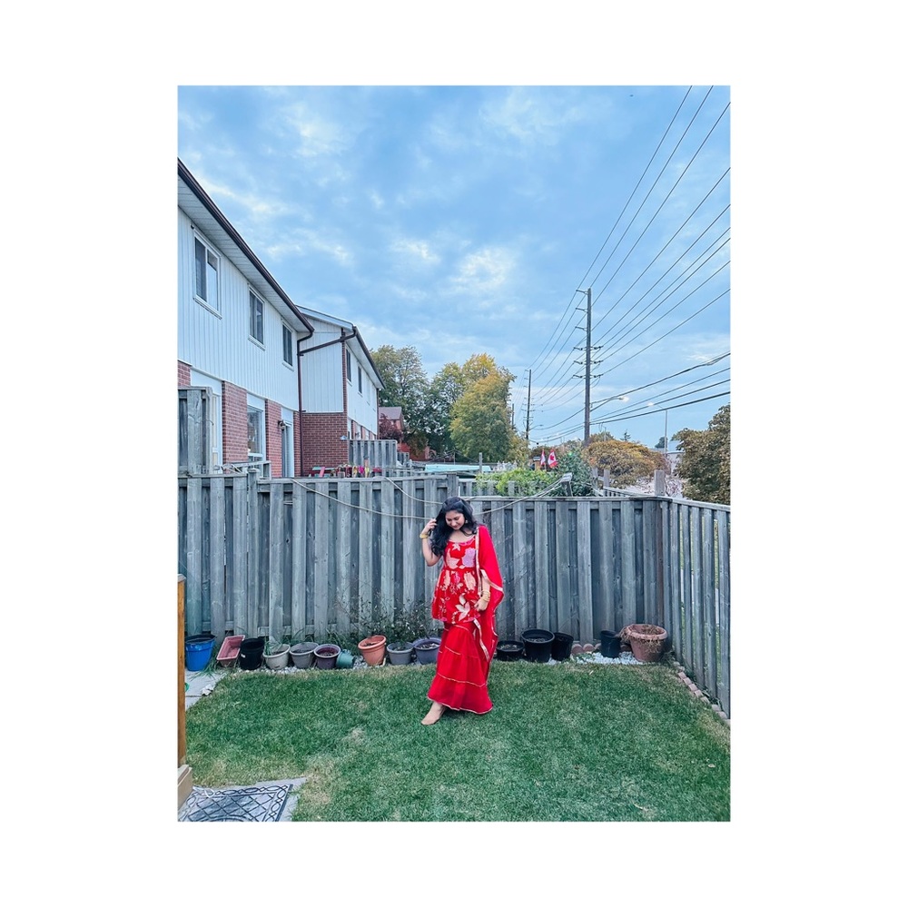 Beautiful Red indian dress